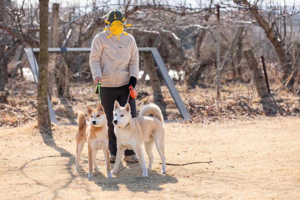 티비좀 보자 (!!헐 도랏 공지라니!!!!!!! 사진추가했어요꺜 뚜기찐동이 소리질럿) | 인스티즈
