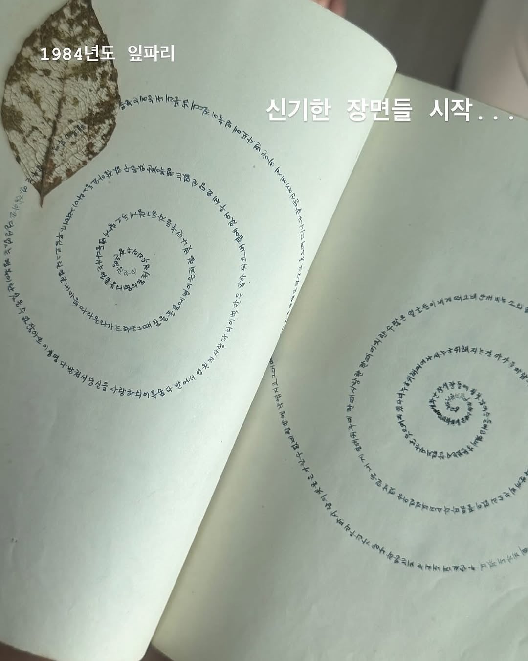짐을 정리하다 19살 엄마의 다이어리를 발견했다 | 인스티즈