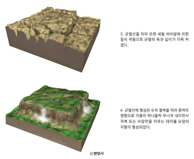 갈라파고스 아닌 갈라파고스 | 인스티즈