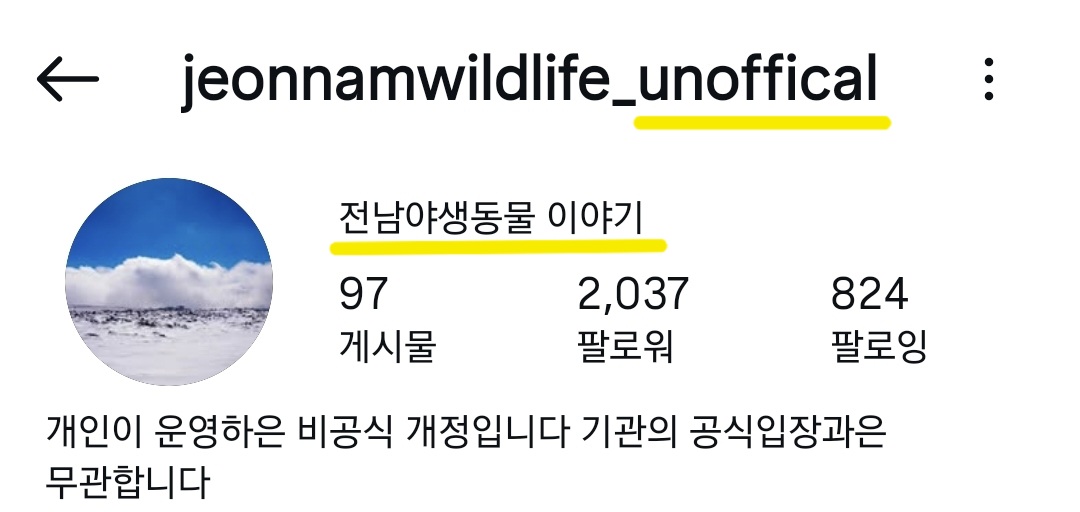 길고양이 살처분 새덕후 청원 동조한 전남야생동물구조센터 인스타 현상황 | 인스티즈