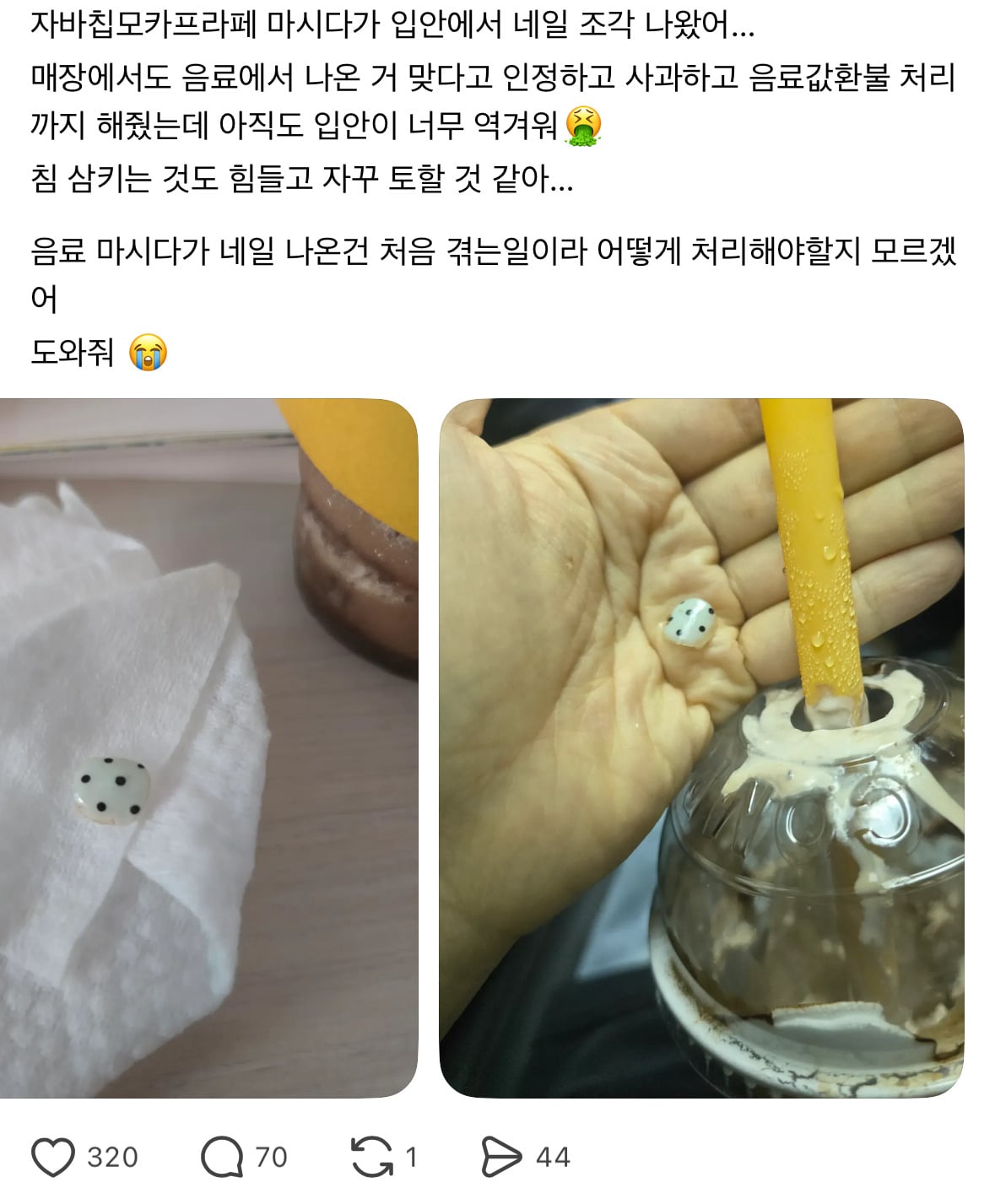 식당이나 카페 음식점이 네일 하면 안되는 이유 | 인스티즈