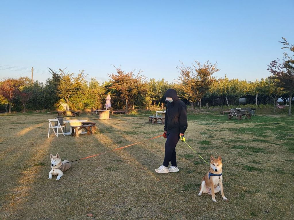 티비좀 보자 (!!헐 도랏 공지라니!!!!!!! 사진추가했어요꺜 뚜기찐동이 소리질럿) | 인스티즈