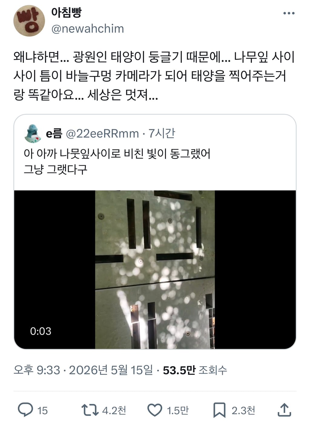나뭇잎 아래 태양빛이 동그란 이유 | 인스티즈