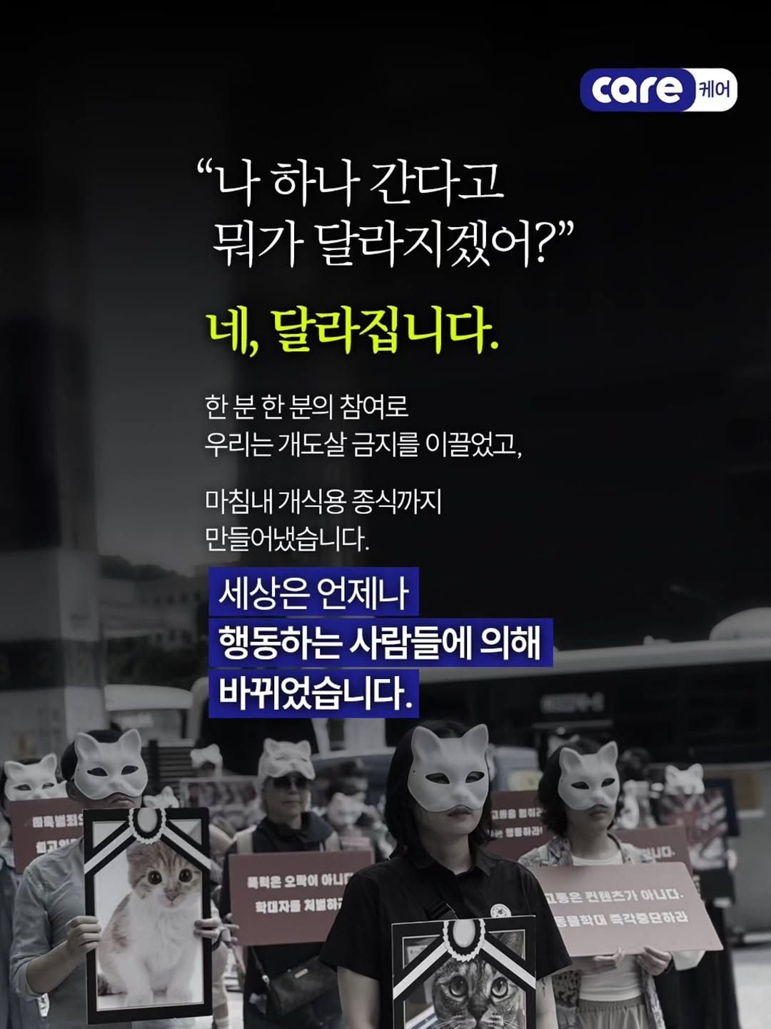 중국 유기견 왕왕이 가족 추모 집회 - 동물권단체 케어 | 인스티즈