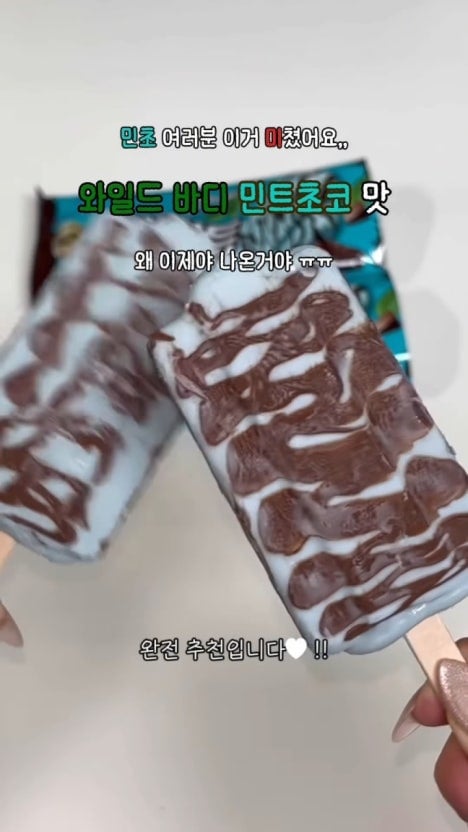 맛있다고 평 좋은 민트초코 아이스크림.jpg | 인스티즈