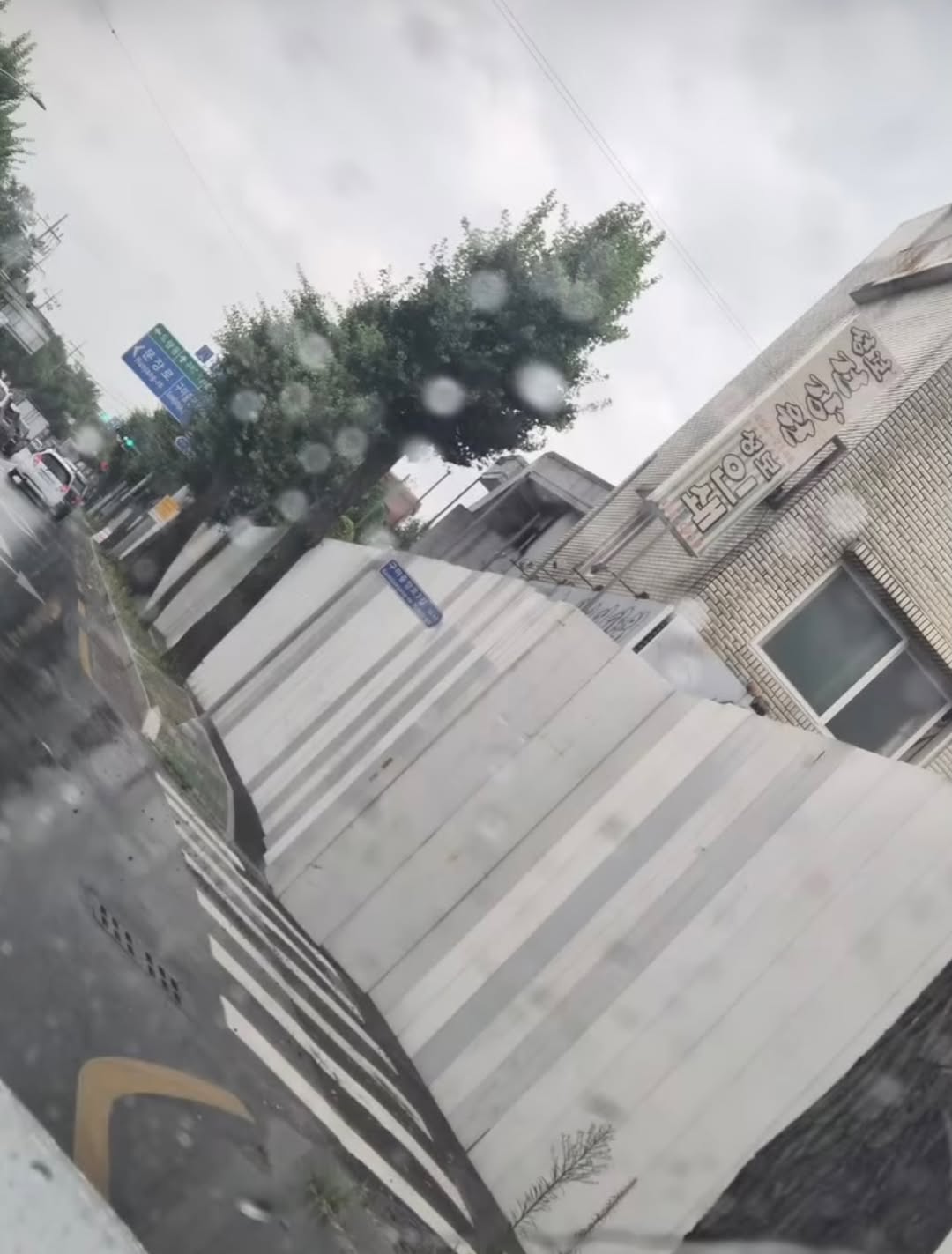 구미시 신축 아파트 재개발 공사 현장에 갇힌 길고양이들 | 인스티즈