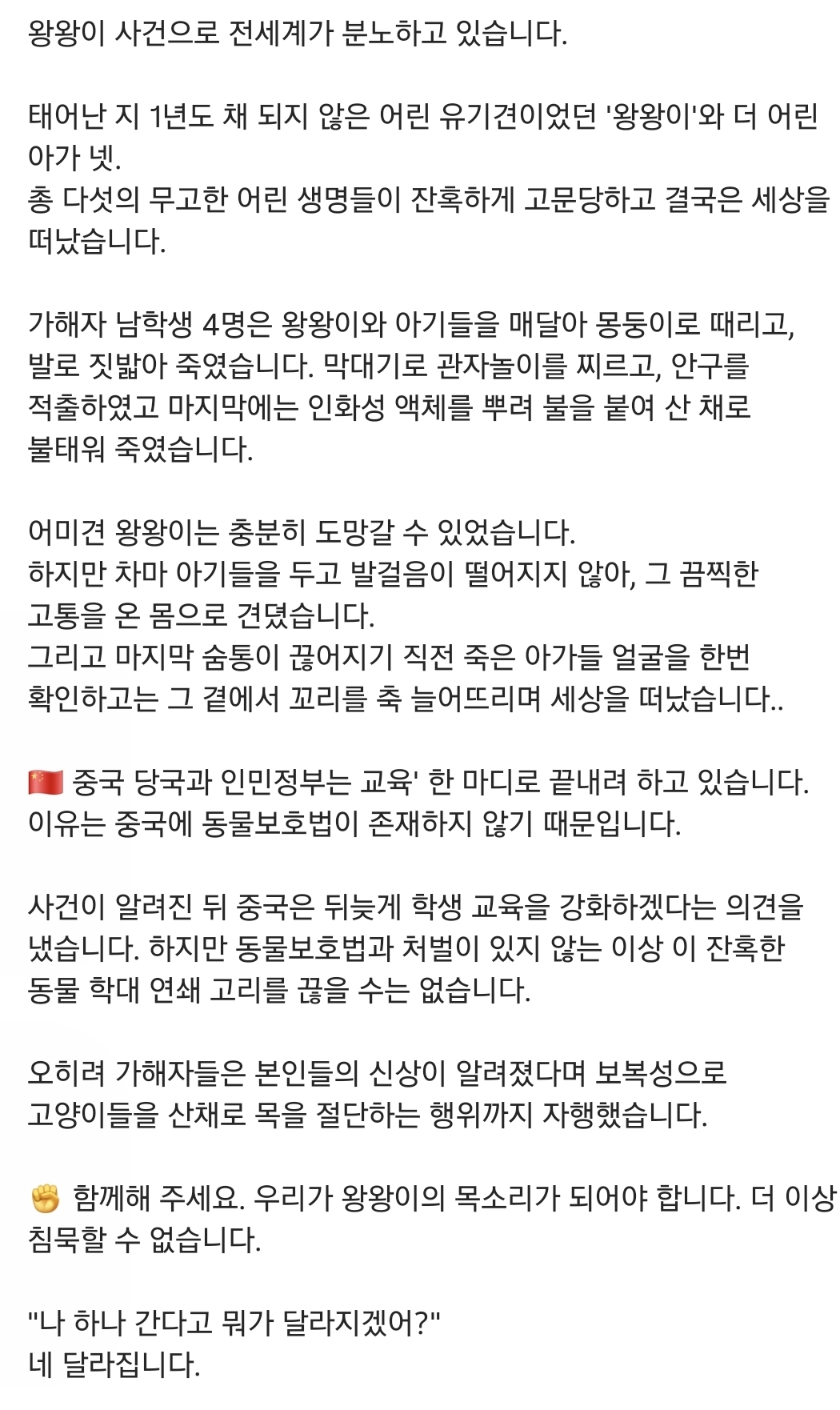 중국 유기견 왕왕이 가족 추모 집회 - 동물권단체 케어 | 인스티즈