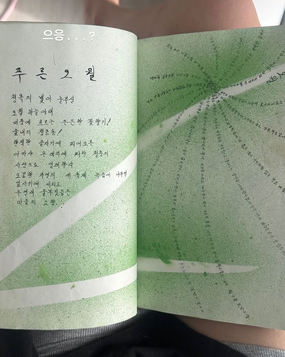 짐을 정리하다 19살 엄마의 다이어리를 발견했다 | 인스티즈