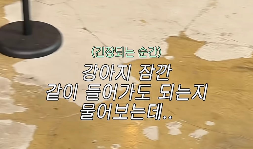 저 테이크아웃만 할건데 강아지 잠깐만 들어가도 되나요.....? | 인스티즈