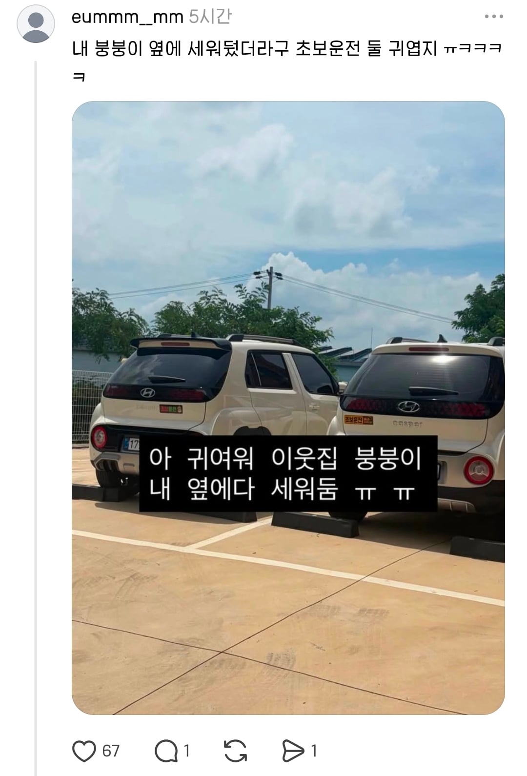 운전자들 귀여운 점.jpg | 인스티즈