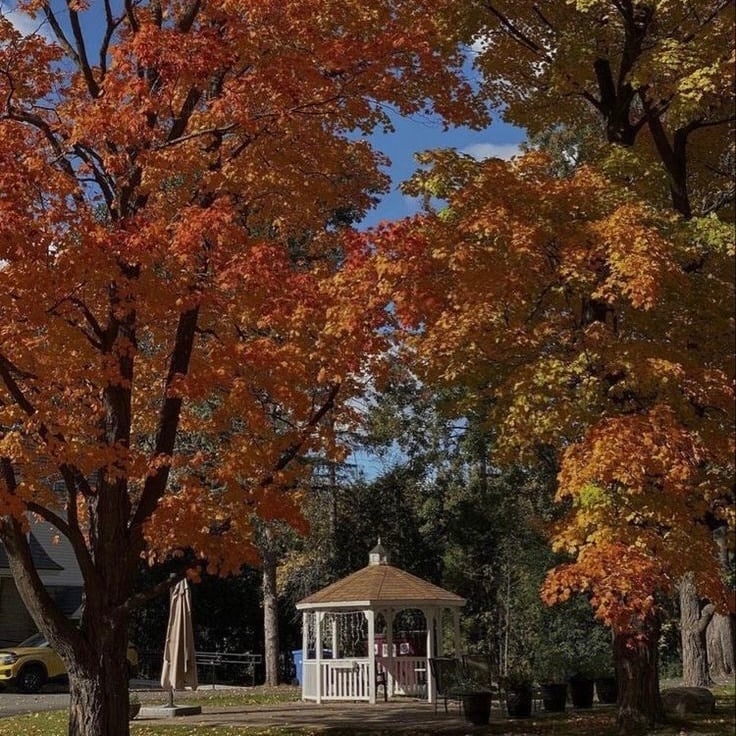🍁 가을만 되면 미국인들이 환장하고 찾는 드라마 🍂🧡 | 인스티즈