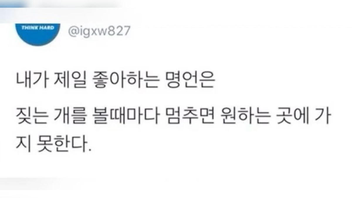 인생 꿀팁 다 풀었음 | 인스티즈