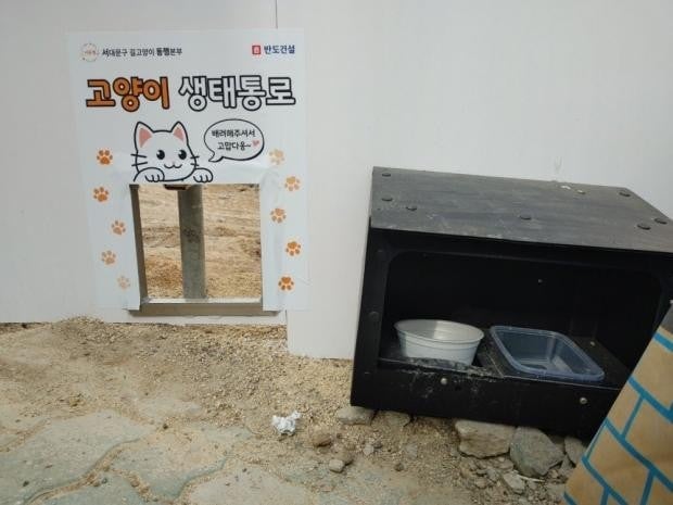 구미시 신축 아파트 재개발 공사 현장에 갇힌 길고양이들 | 인스티즈