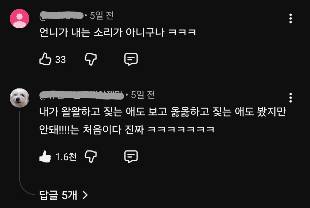 잠시 언니와 이별하는 봄이🐶의 절규 | 인스티즈