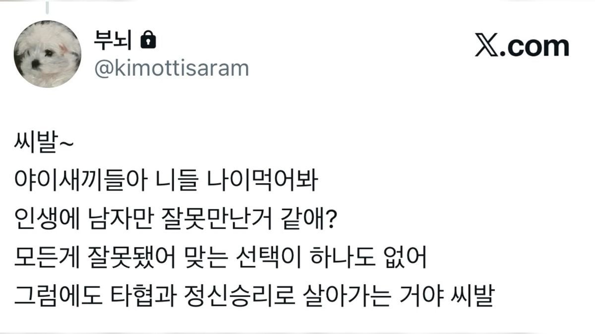 인생 꿀팁 다 풀었음 | 인스티즈
