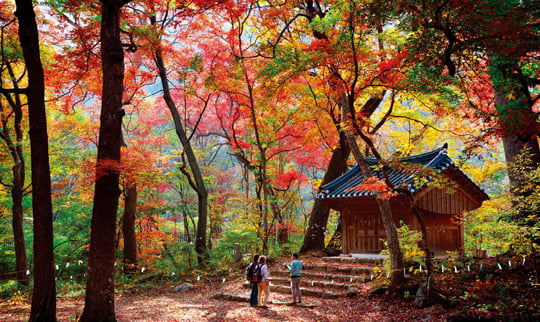 엥 얼떨결에 지명을 바꿔버렸습니다 | 인스티즈