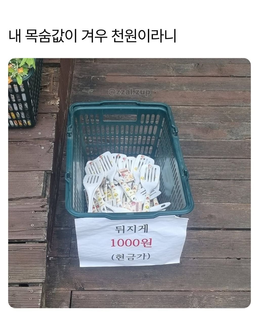 얼레벌레 돌아가는 세상 | 인스티즈
