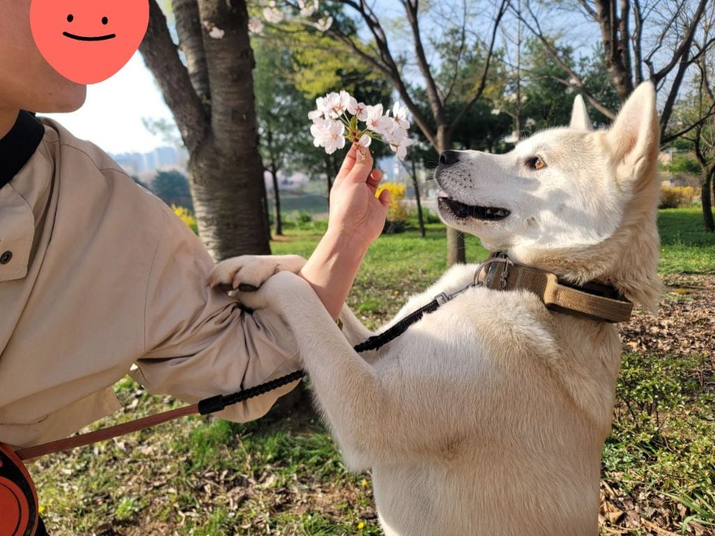 티비좀 보자 (!!헐 도랏 공지라니!!!!!!! 사진추가했어요꺜 뚜기찐동이 소리질럿) | 인스티즈