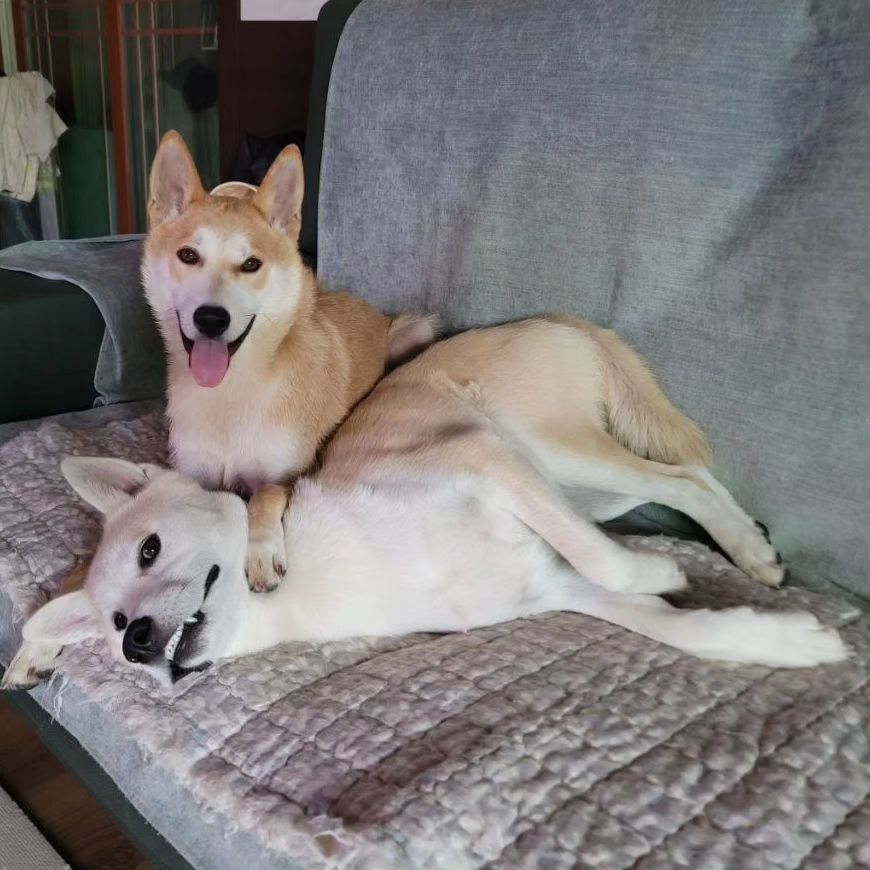 티비좀 보자 (!!헐 도랏 공지라니!!!!!!! 사진추가했어요꺜 뚜기찐동이 소리질럿) | 인스티즈