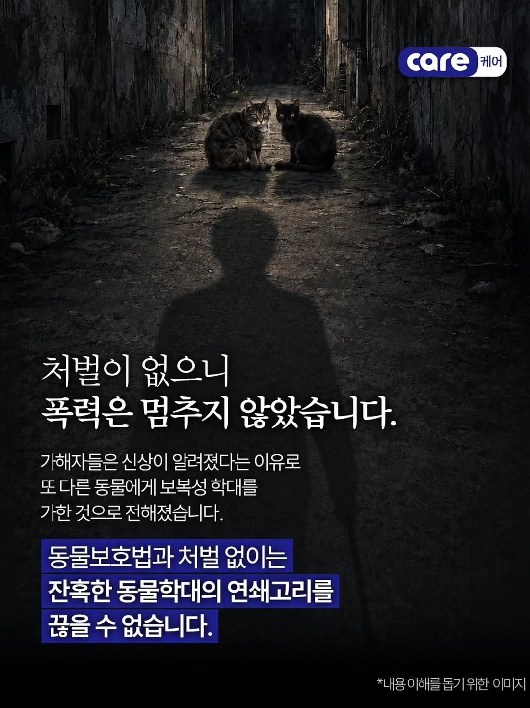 중국 유기견 왕왕이 가족 추모 집회 - 동물권단체 케어 | 인스티즈