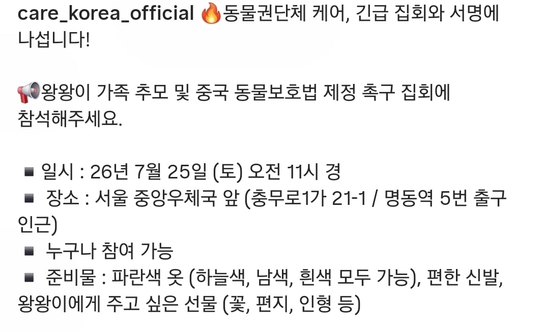 중국 유기견 왕왕이 가족 추모 집회 - 동물권단체 케어 | 인스티즈
