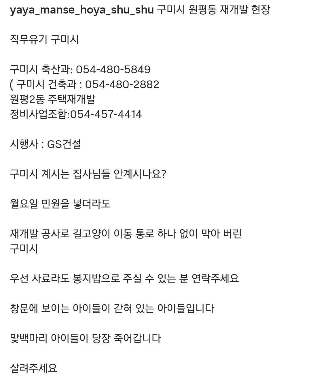 구미시 신축 아파트 재개발 공사 현장에 갇힌 길고양이들 | 인스티즈