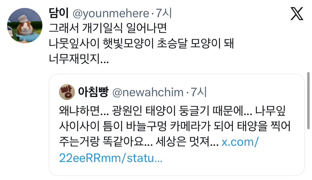 나뭇잎 아래 태양빛이 동그란 이유 | 인스티즈