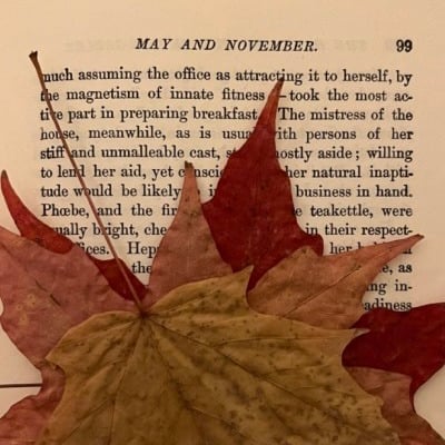 🍁 가을만 되면 미국인들이 환장하고 찾는 드라마 🍂🧡 | 인스티즈