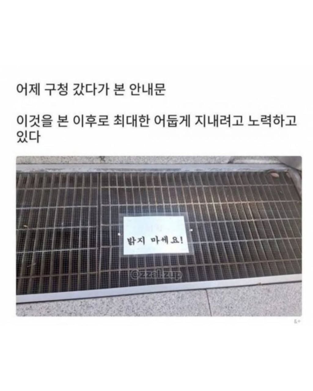 얼레벌레 돌아가는 세상 | 인스티즈