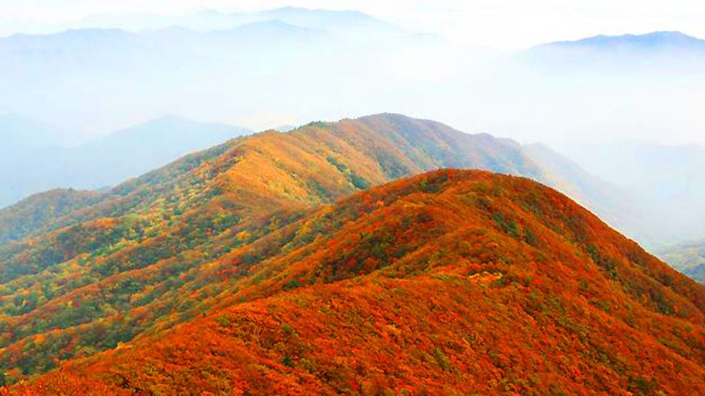 엥 얼떨결에 지명을 바꿔버렸습니다 | 인스티즈
