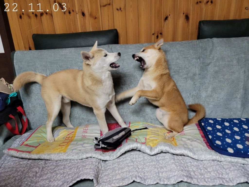 티비좀 보자 (!!헐 도랏 공지라니!!!!!!! 사진추가했어요꺜 뚜기찐동이 소리질럿) | 인스티즈