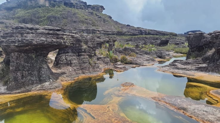 갈라파고스 아닌 갈라파고스 | 인스티즈