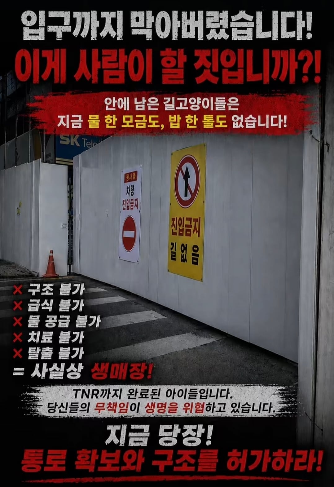 구미시 신축 아파트 재개발 공사 현장에 갇힌 길고양이들 | 인스티즈