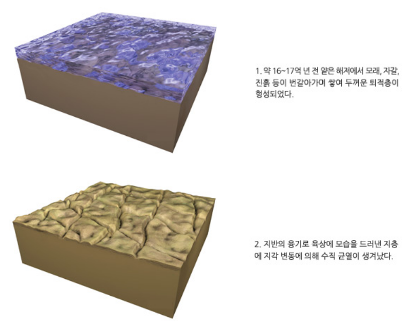 갈라파고스 아닌 갈라파고스 | 인스티즈