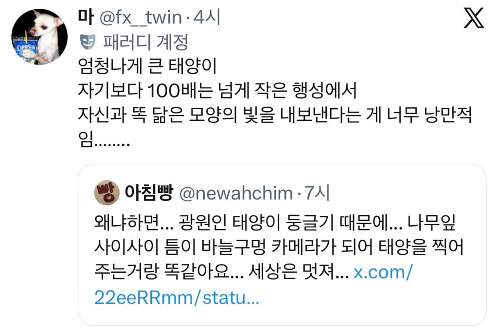 나뭇잎 아래 태양빛이 동그란 이유 | 인스티즈