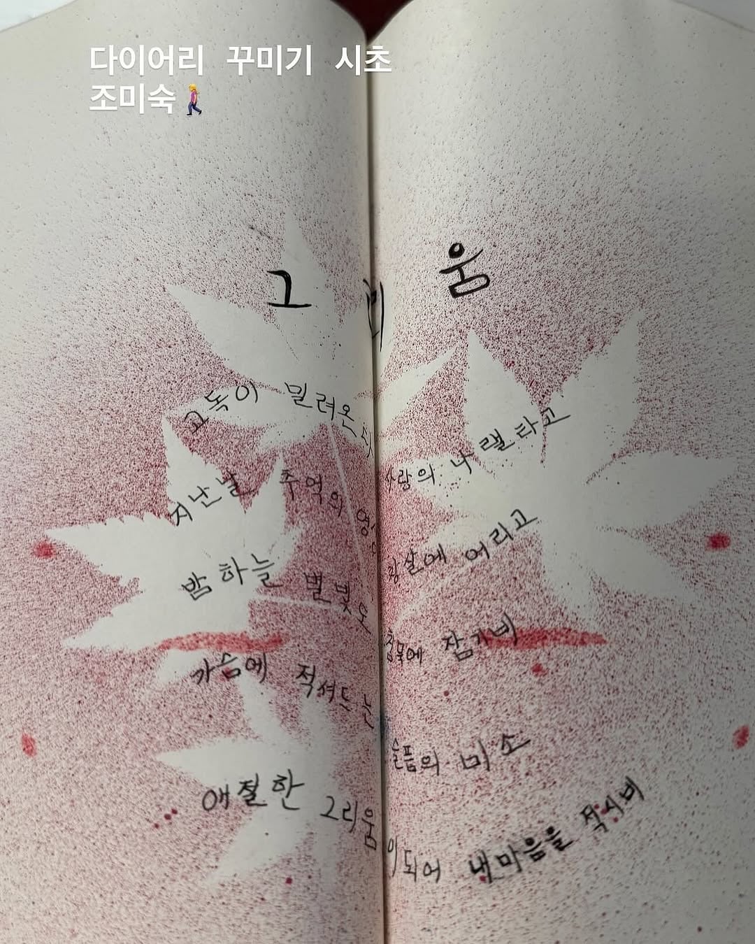 짐을 정리하다 19살 엄마의 다이어리를 발견했다 | 인스티즈
