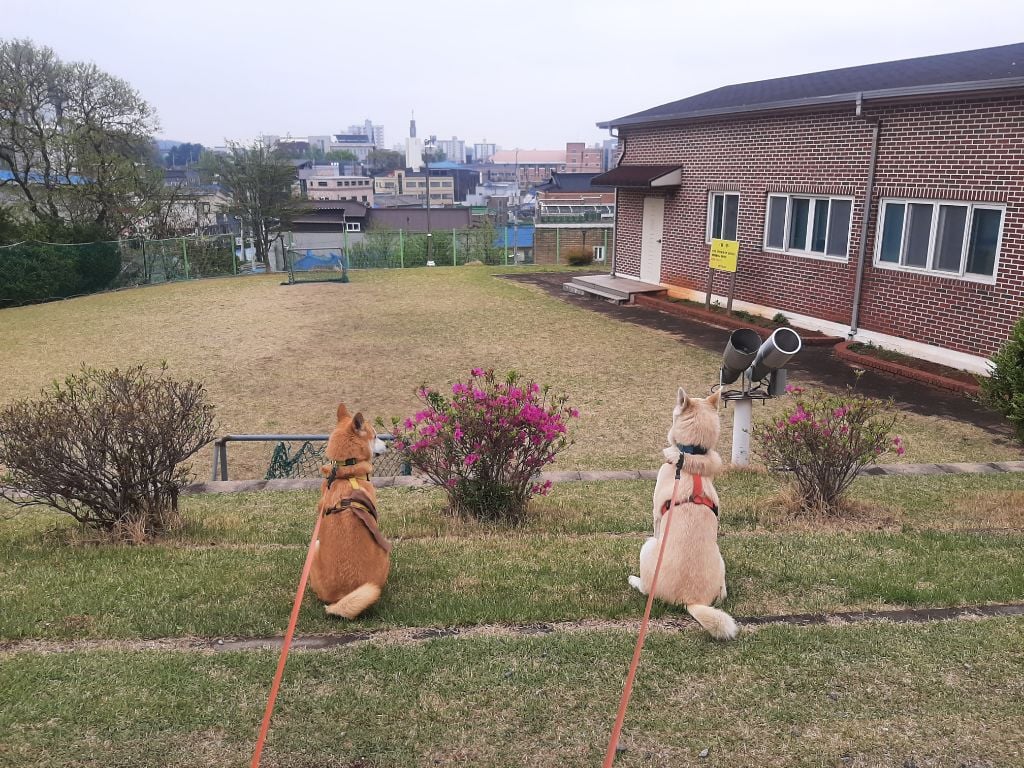 티비좀 보자 (!!헐 도랏 공지라니!!!!!!! 사진추가했어요꺜 뚜기찐동이 소리질럿) | 인스티즈