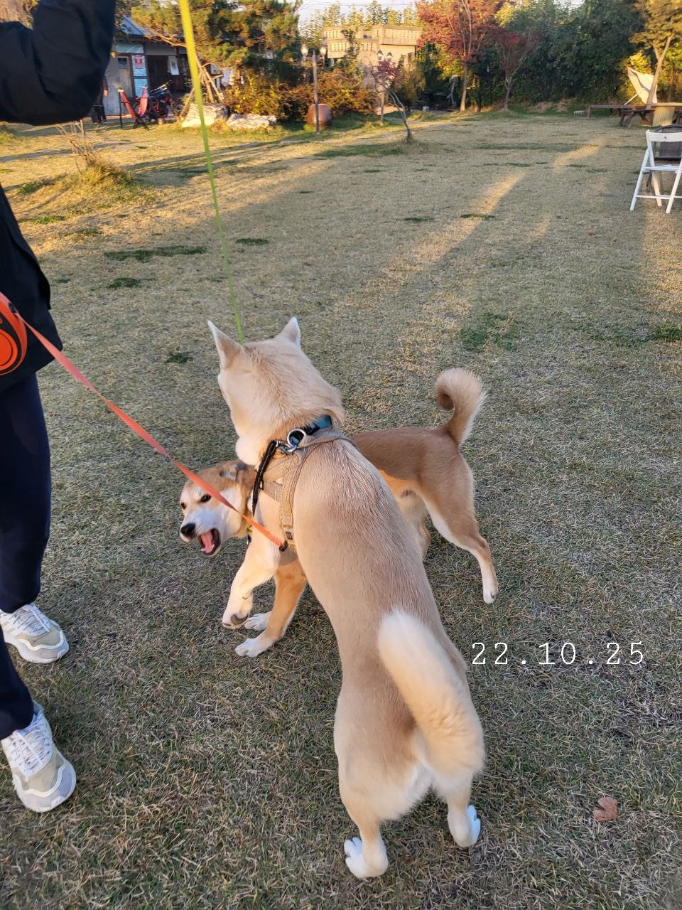티비좀 보자 (!!헐 도랏 공지라니!!!!!!! 사진추가했어요꺜 뚜기찐동이 소리질럿) | 인스티즈