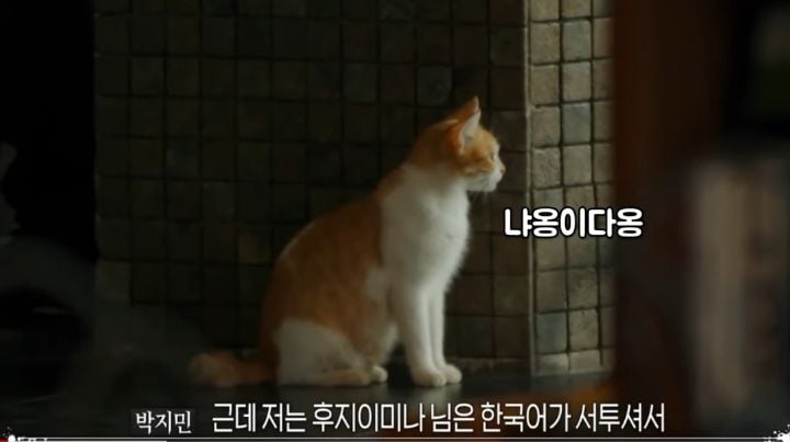 빌런들이 난무하는 피의게임2에서 모두에게 호감인 참가자.gif | 인스티즈