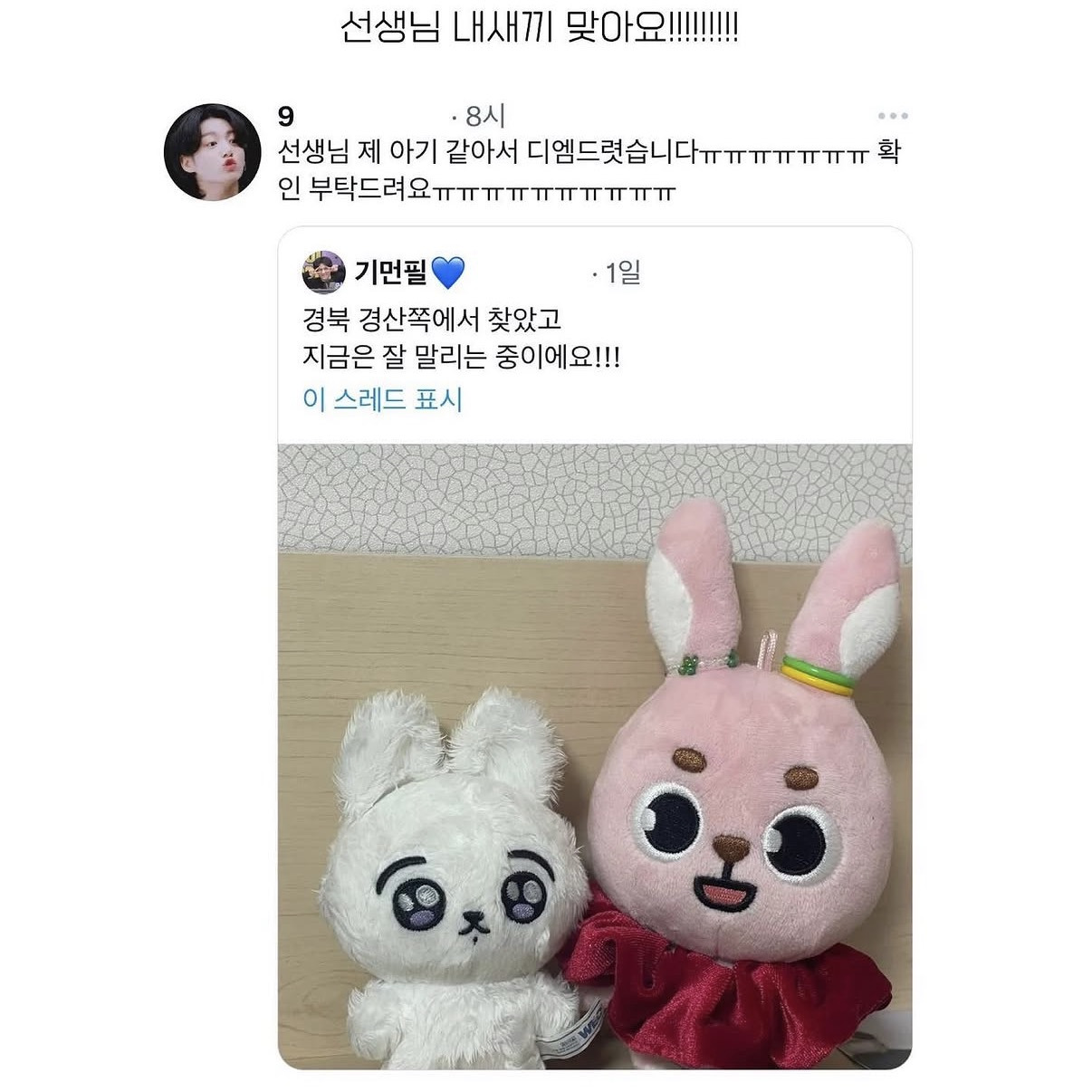 정국 인형을 임보 후 귀가시켜준 원필 팬 | 인스티즈