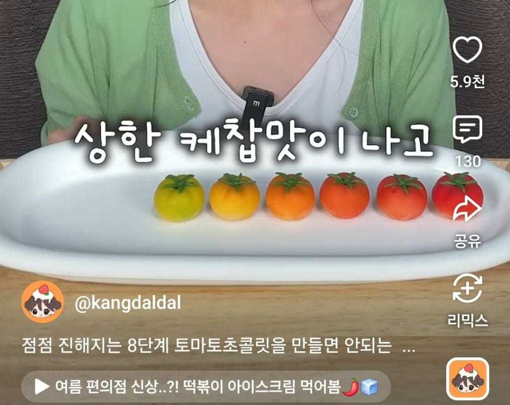 토마토 초콜릿이 없는 이유 | 인스티즈