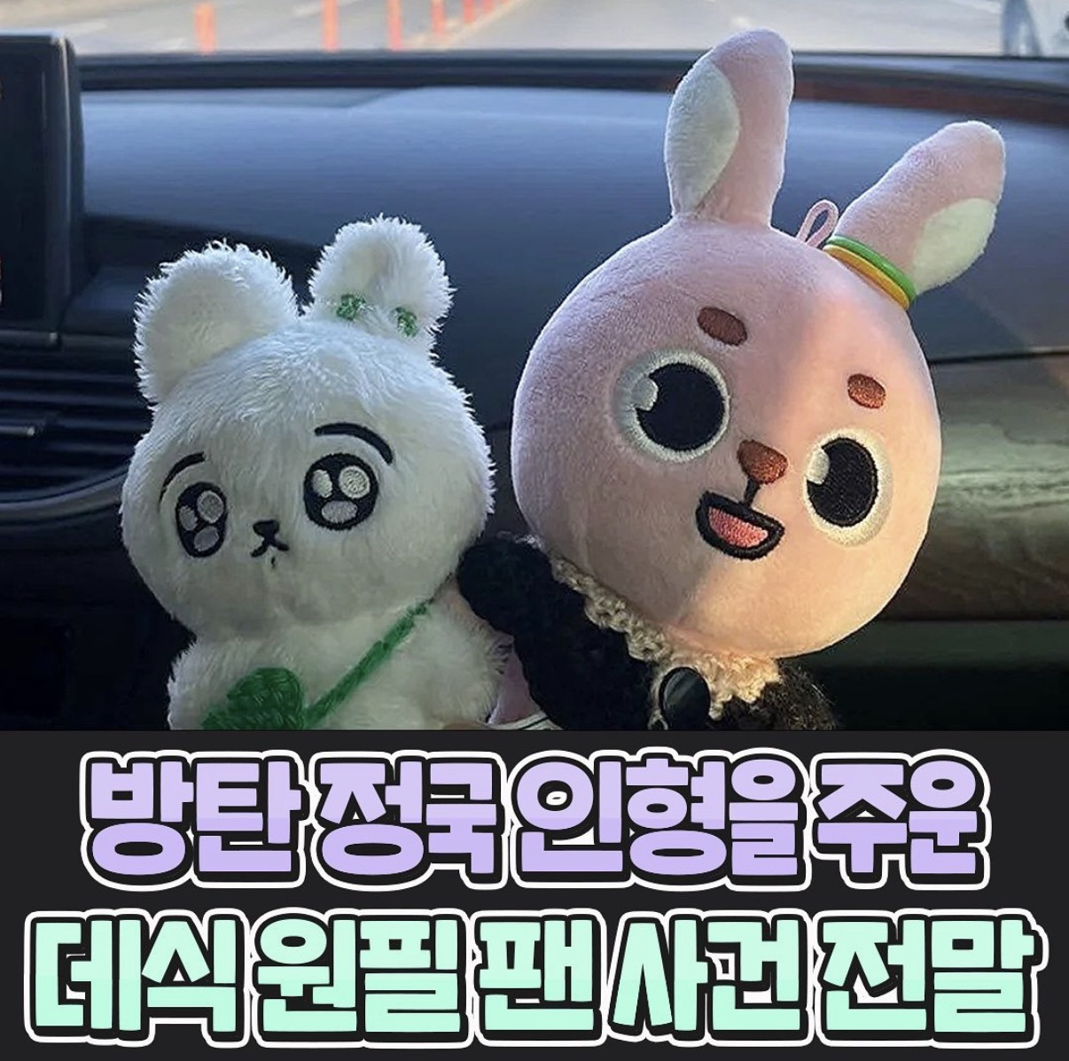 정국 인형을 임보 후 귀가시켜준 원필 팬 | 인스티즈
