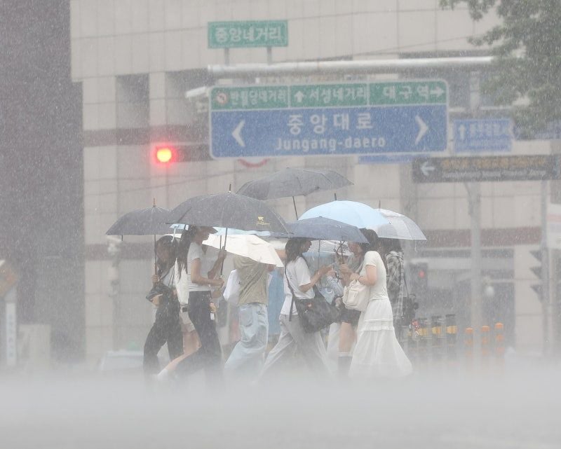 이번 주 내내 장맛비…찜통·폭우 오르락 내리락 [세상&] | 인스티즈