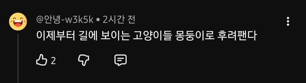 유튜버 새덕후 영상에 달린 끔찍한 댓글들 | 인스티즈