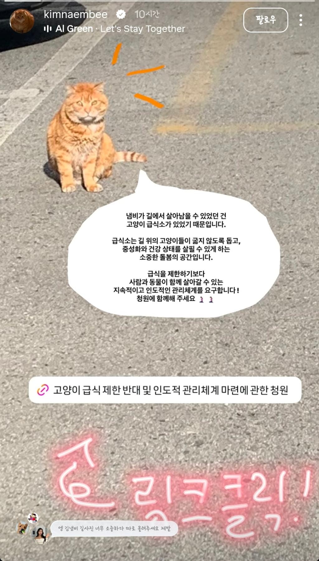 길고양이 급식제한 반대청원에 목소리 내준 사람들 | 인스티즈