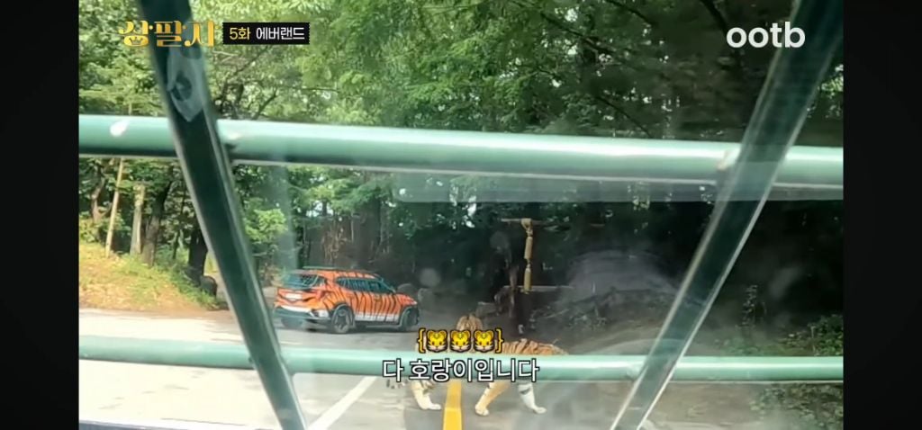 정말 무서운 소리를 정말 해맑게하는 에버랜드 사육사들 | 인스티즈