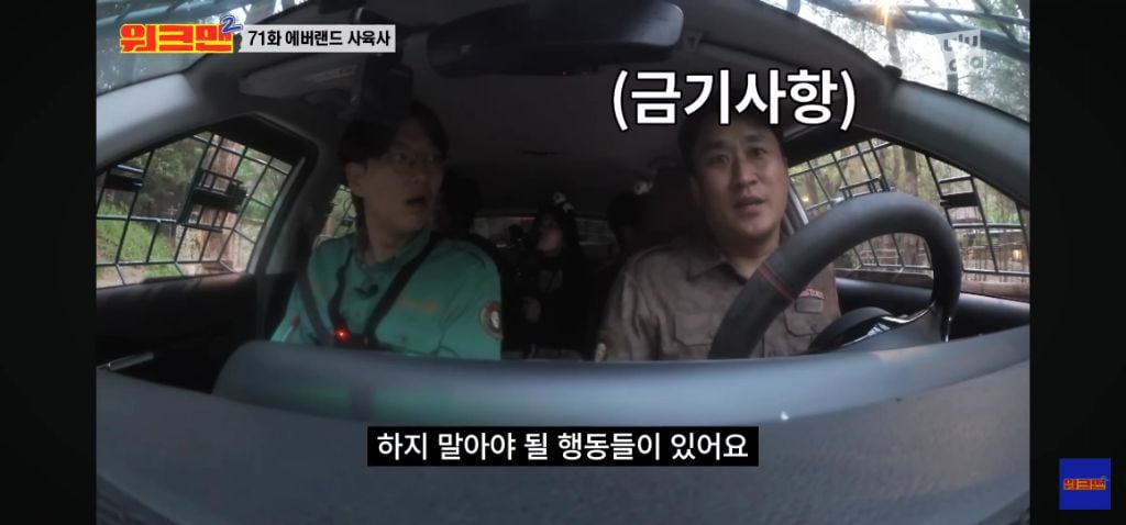 정말 무서운 소리를 정말 해맑게하는 에버랜드 사육사들 | 인스티즈