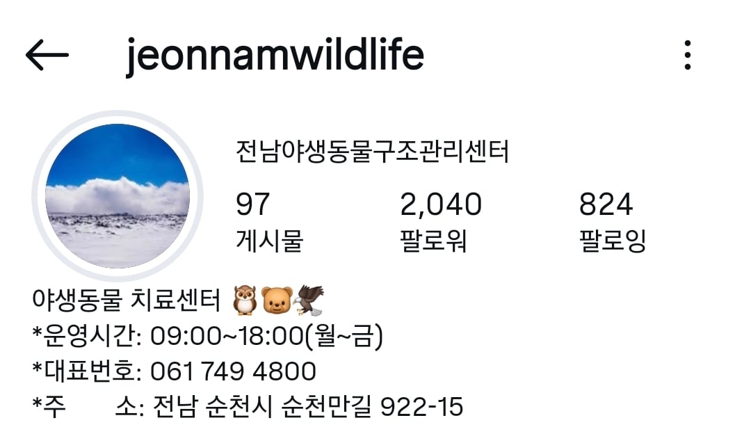 전남야생동물구조 관리센터 인스스 (새덕후) | 인스티즈