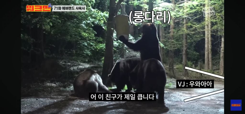 정말 무서운 소리를 정말 해맑게하는 에버랜드 사육사들 | 인스티즈
