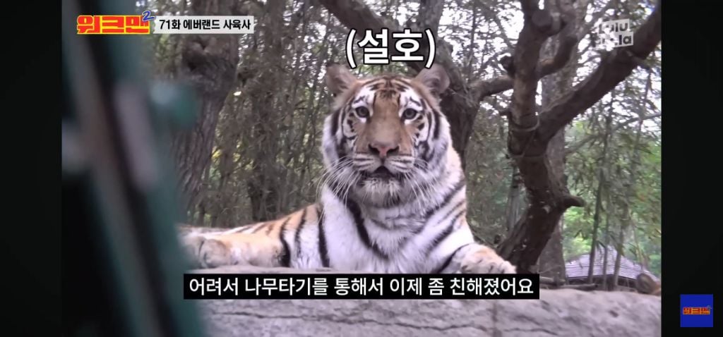 정말 무서운 소리를 정말 해맑게하는 에버랜드 사육사들 | 인스티즈